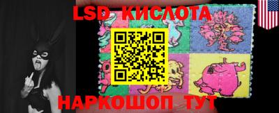 крисы Новозыбков