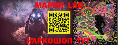крисы Новозыбков