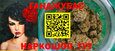 крисы Новозыбков