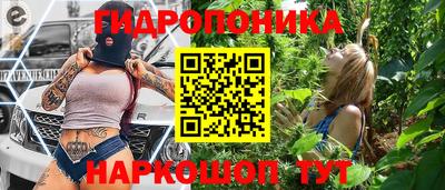 крисы Новозыбков