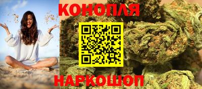 крисы Новозыбков