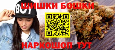 крисы Новозыбков