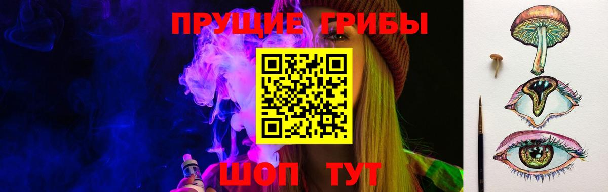 Петрозаводск  Псилоцибиновые грибы Cubensis  Вход с VPN 